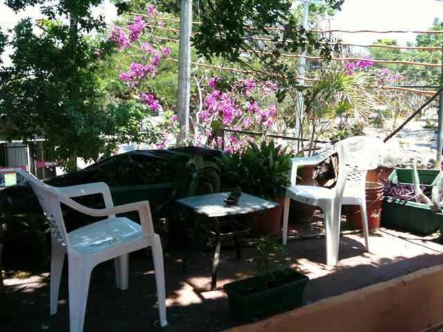 Mayan Hostel Cancun Bagian luar foto