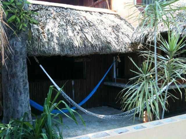 Mayan Hostel Cancun Bagian luar foto
